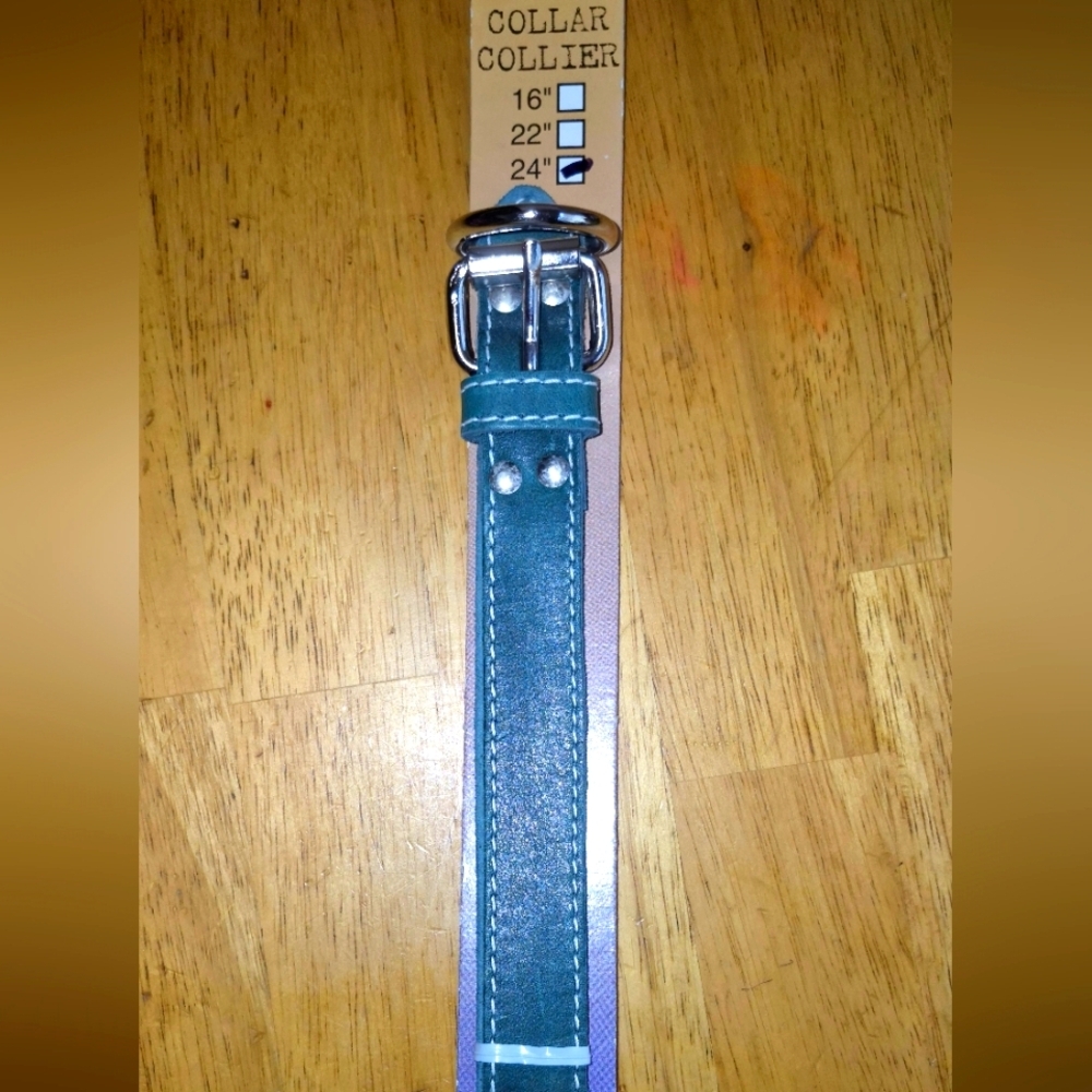 Celebrity Green Dog Collar with Durable Metal Buckle. the buckle has a litt